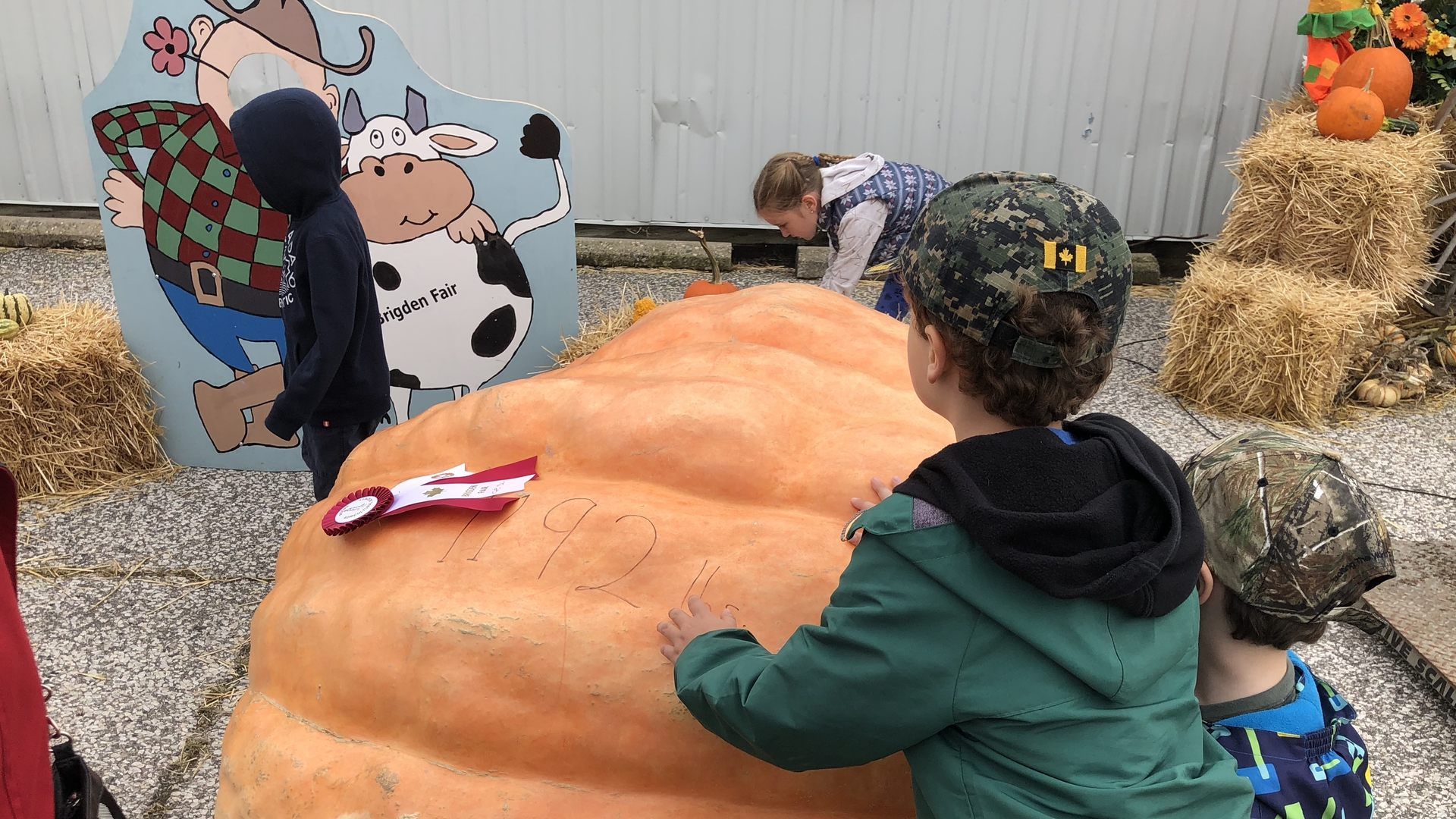 Giant pumpkin