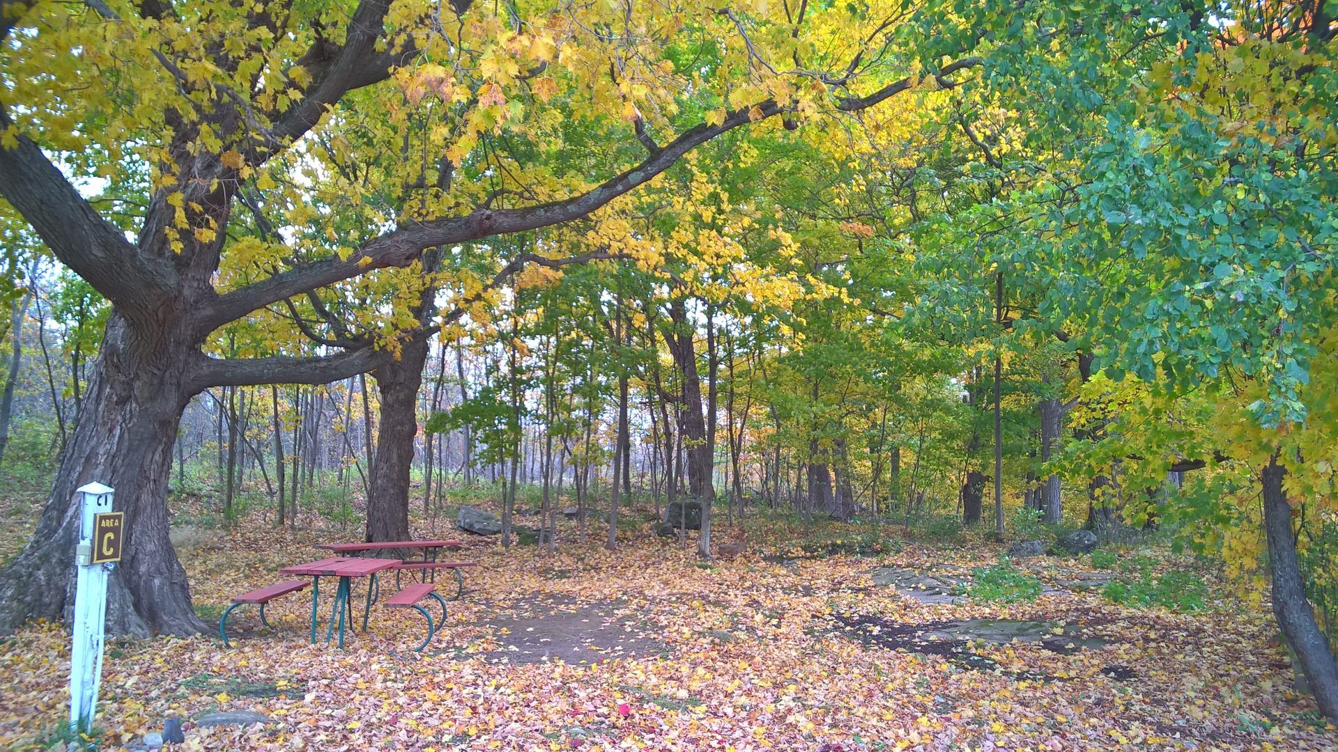 picnic tables