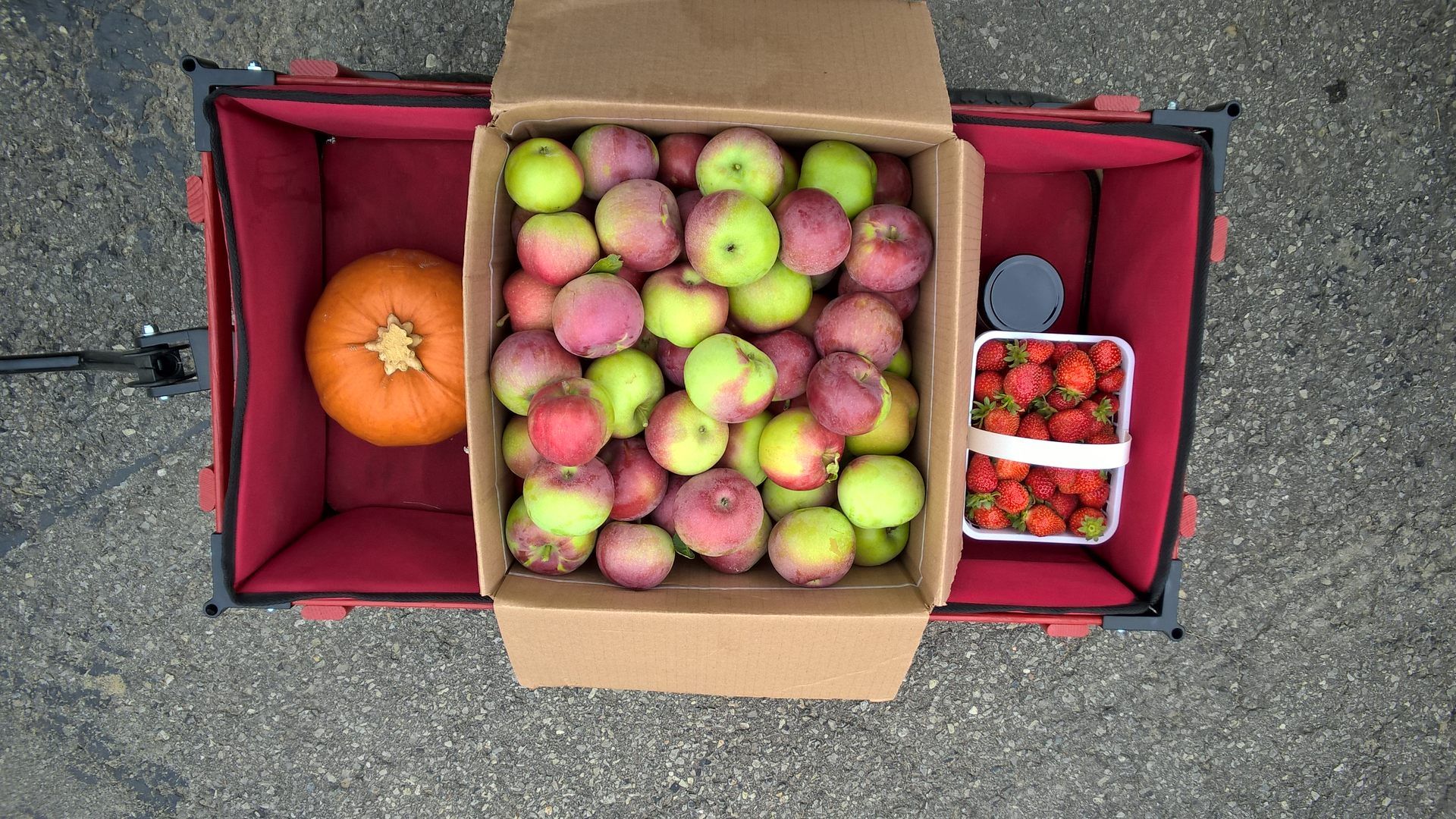 A basket of apples