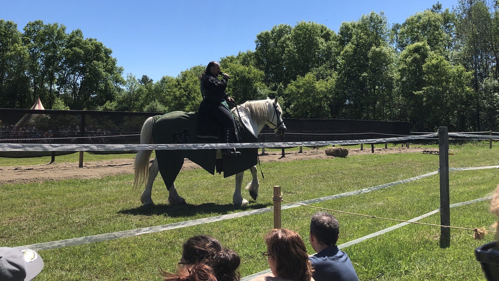 Medieval Jousting